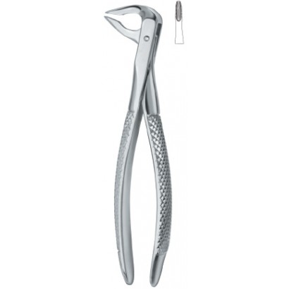 Tooth Ext Forceps