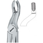 Tooth Ext Forceps