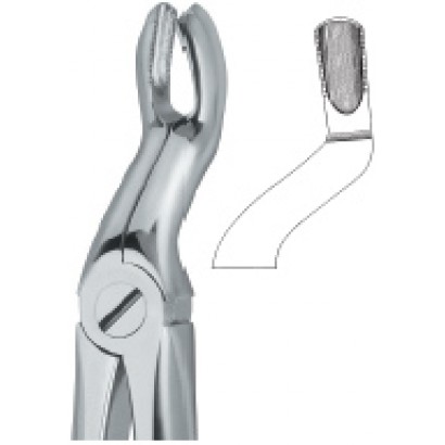 Tooth Ext Forceps