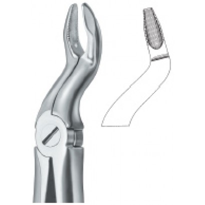 Tooth Ext Forceps