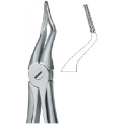 Tooth Ext Forceps