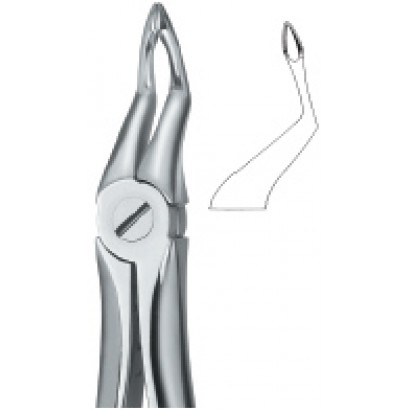 Tooth Ext Forceps