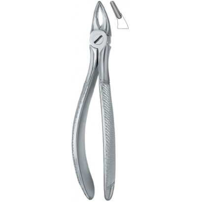 Incisors and Roots 30S