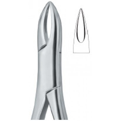 Henahan Incisors 1A