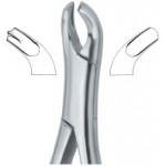 Harris Molars , Right 18R