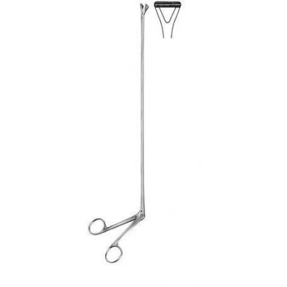 Rectal Biopsy Forceps